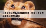 公众号粉丝怎么拉进群聊微信（微信公众号怎么给粉丝群发消息）
