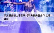 华为服务器上市公司（华为服务器合作 上市公司）