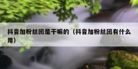 抖音加粉丝团是干嘛的（抖音加粉丝团有什么用）
