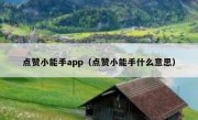 点赞小能手app（点赞小能手什么意思）