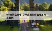 ins点赞在哪看（ins点赞的作品哪里可以看到）