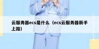 云服务器ecs是什么（ecs云服务器新手上路）