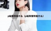 p站推特是什么（p站和推特是什么）