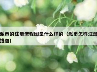 派币的注册流程图是什么样的（派币怎样注册钱包）