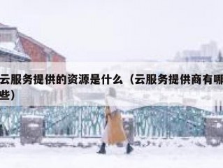 云服务提供的资源是什么（云服务提供商有哪些）