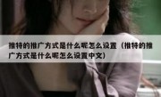 推特的推广方式是什么呢怎么设置（推特的推广方式是什么呢怎么设置中文）