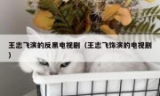 王志飞演的反黑电视剧（王志飞饰演的电视剧）