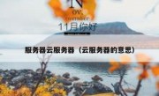 服务器云服务器（云服务器的意思）