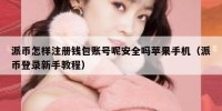 派币怎样注册钱包账号呢安全吗苹果手机（派币登录新手教程）