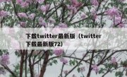 下载twitter最新版（twitter下载最新版72）