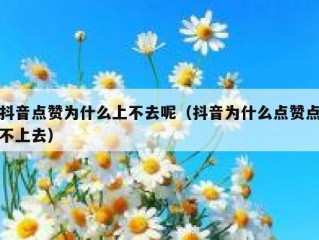 抖音点赞为什么上不去呢（抖音为什么点赞点不上去）