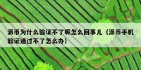 派币为什么验证不了呢怎么回事儿（派币手机验证通过不了怎么办）