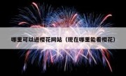 哪里可以进樱花网站（现在哪里能看樱花）