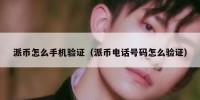 派币怎么手机验证（派币电话号码怎么验证）