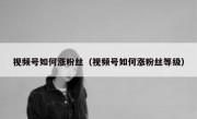视频号如何涨粉丝（视频号如何涨粉丝等级）