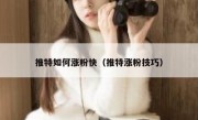 推特如何涨粉快（推特涨粉技巧）