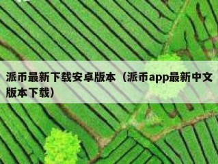 派币最新下载安卓版本（派币app最新中文版本下载）