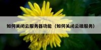 如何关闭云服务器功能（如何关闭云端服务）
