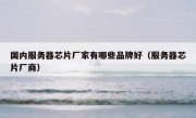 国内服务器芯片厂家有哪些品牌好（服务器芯片厂商）