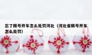 忘了限号开车怎么处罚河北（河北省限号开车怎么处罚）