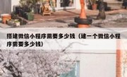 搭建微信小程序需要多少钱（建一个微信小程序需要多少钱）
