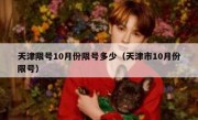 天津限号10月份限号多少（天津市10月份限号）