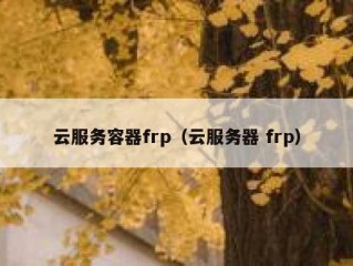 云服务容器frp（云服务器 frp）