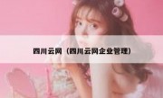 四川云网（四川云网企业管理）
