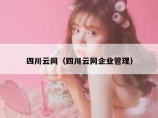 四川云网（四川云网企业管理）