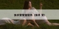 快手赞赞宝软件（快手 赞）