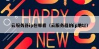 云服务器ip在哪看（云服务器的ip地址）