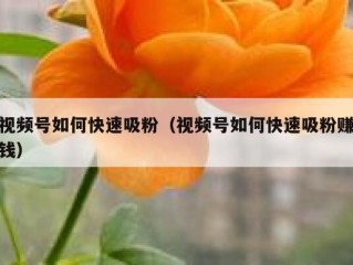 视频号如何快速吸粉（视频号如何快速吸粉赚钱）