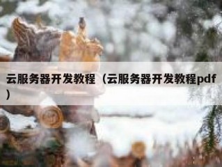 云服务器开发教程（云服务器开发教程pdf）