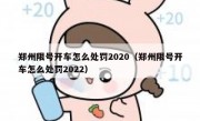 郑州限号开车怎么处罚2020（郑州限号开车怎么处罚2022）