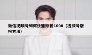 微信视频号如何快速涨粉1000（视频号涨粉方法）