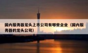 国内服务器龙头上市公司有哪些企业（国内服务器的龙头公司）