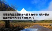 国外服务器品牌前十大排名有哪些（国外服务器品牌前十大排名有哪些牌子）