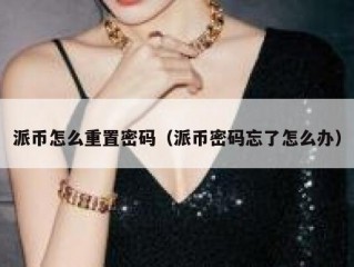 派币怎么重置密码（派币密码忘了怎么办）
