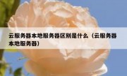 云服务器本地服务器区别是什么（云服务器 本地服务器）