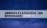 成都限号开车怎么处罚2022年8月（成都限号开车怎么处罚）