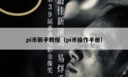 pi币新手教程（pi币操作手册）