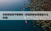 抖音粉丝团干嘛用的（抖音的粉丝团能起什么作用）