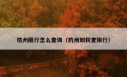 杭州限行怎么查询（杭州如何查限行）