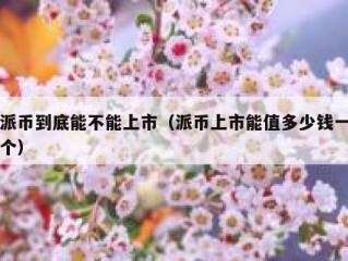 派币到底能不能上市（派币上市能值多少钱一个）