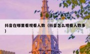 抖音在哪里看观看人数（抖音怎么观看人数多）