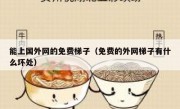 能上国外网的免费梯子（免费的外网梯子有什么坏处）