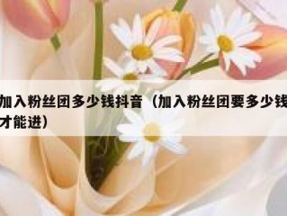 加入粉丝团多少钱抖音（加入粉丝团要多少钱才能进）