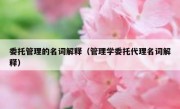 委托管理的名词解释（管理学委托代理名词解释）