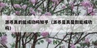 派币真的能成功吗知乎（派币是真是假能成功吗）