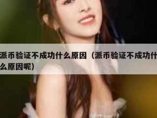 派币验证不成功什么原因（派币验证不成功什么原因呢）